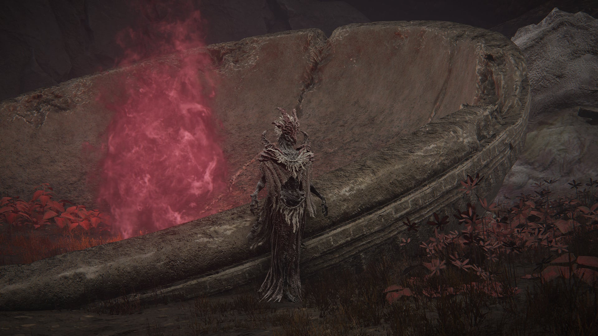 Скриншот Elden Ring: Shadow Of The Erdtree, где NPC Жрица драконьего причастия стоит перед Великим алтарём драконьего причастия.