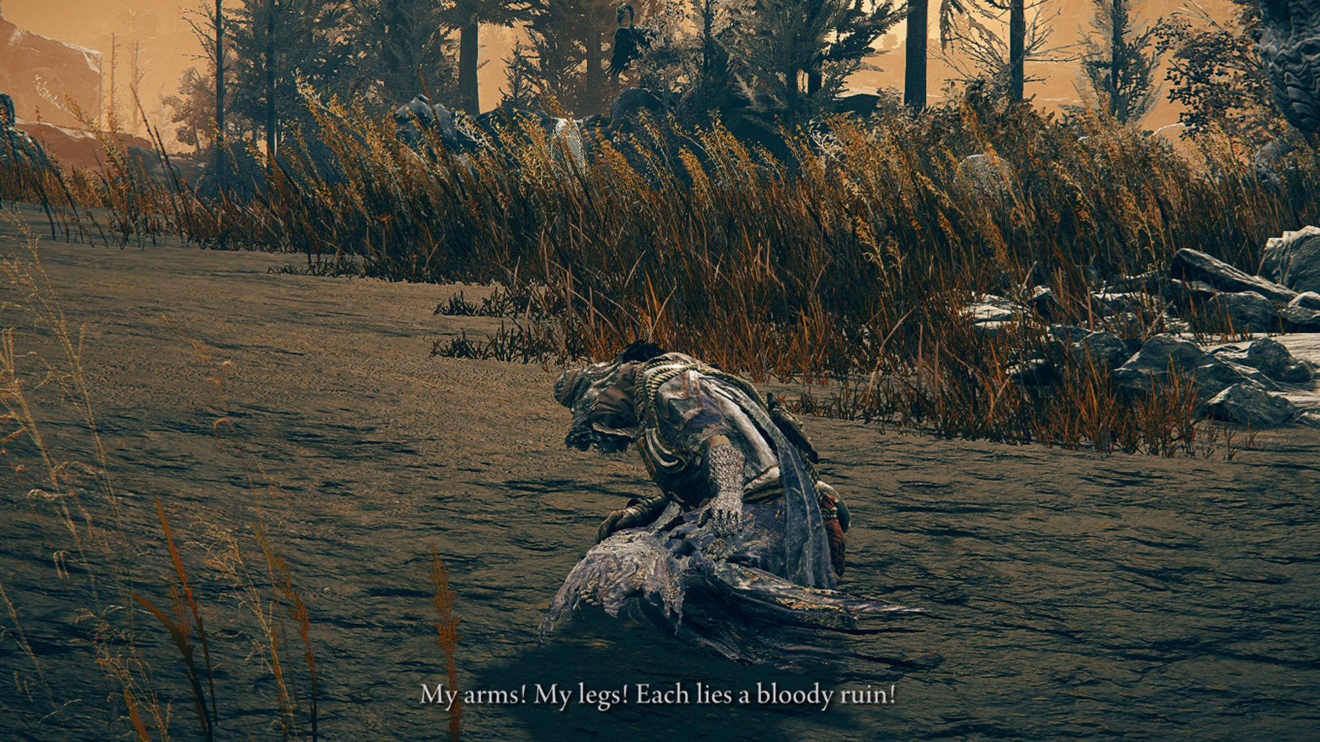 Скриншот Elden Ring: Shadow Of The Erdtree, где Игон согнулся от боли.