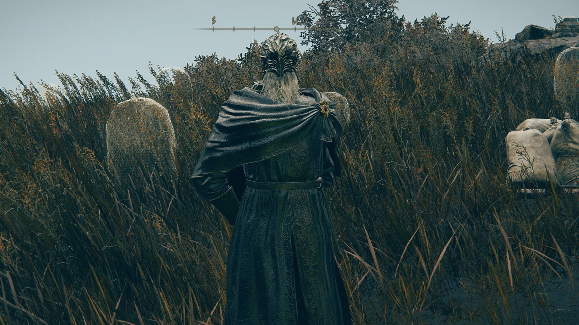 Скриншот Elden Ring: Shadow Of The Erdtree, где Господин Ансбах, отставной рыцарь и последователь Мога, стоит в регионе Равнина Надгробий в Царстве Теней.