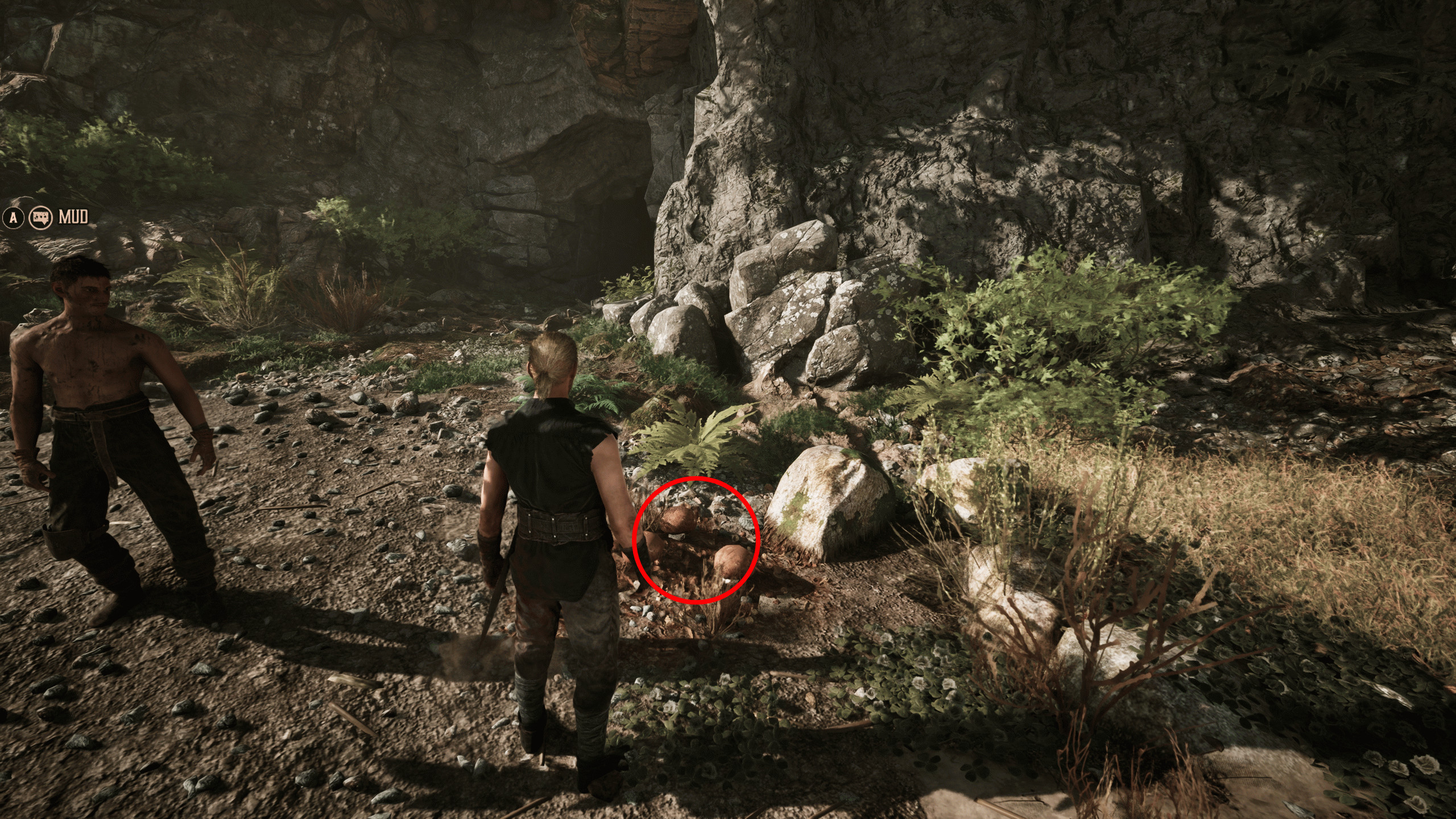 Gothic 1 Remake Рецепт Снафа: игрок смотрит на адский гриб в лесу, который обведён красным.