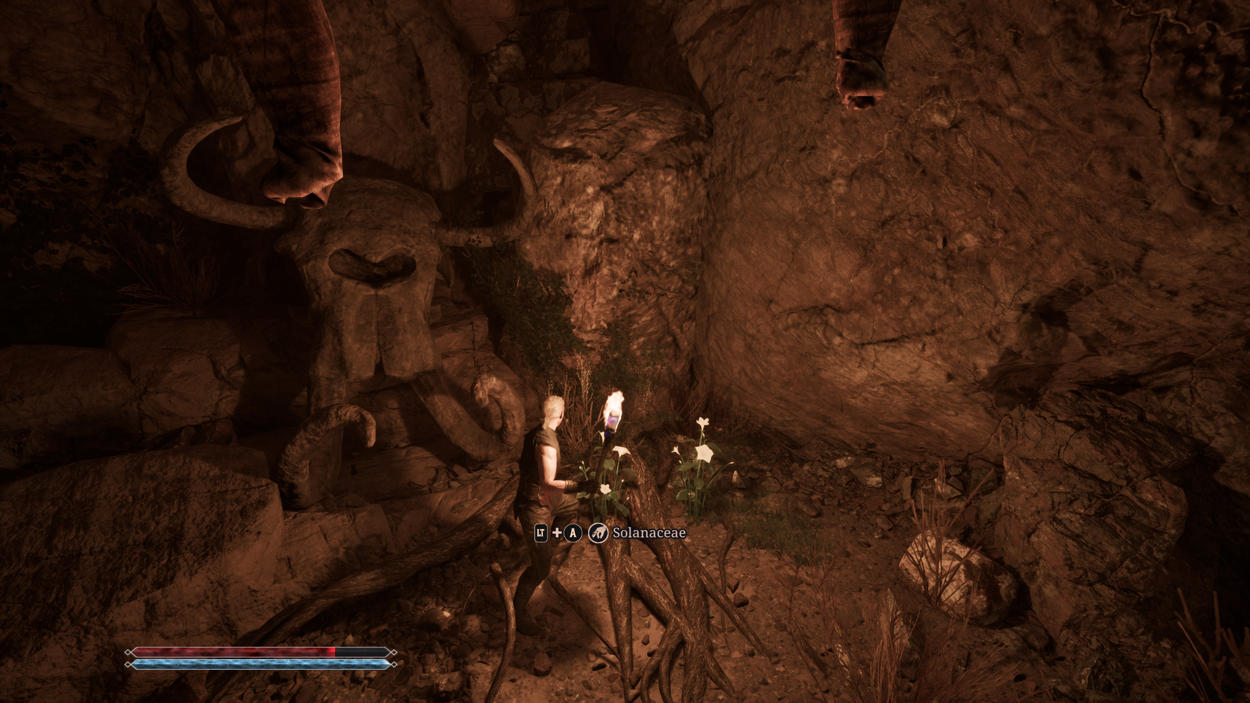Gothic 1 Remake Забытый рецепт: игрок смотрит на солнечник в тёмной пещере, освещая путь факелом.