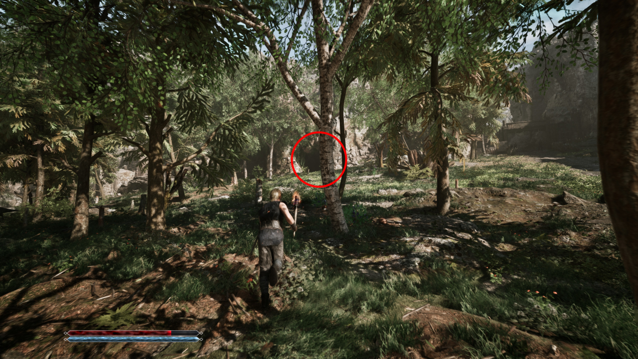 Gothic 1 Remake Рецепт Снафа: игрок смотрит на пещеру в лесу, которая обведена красным.