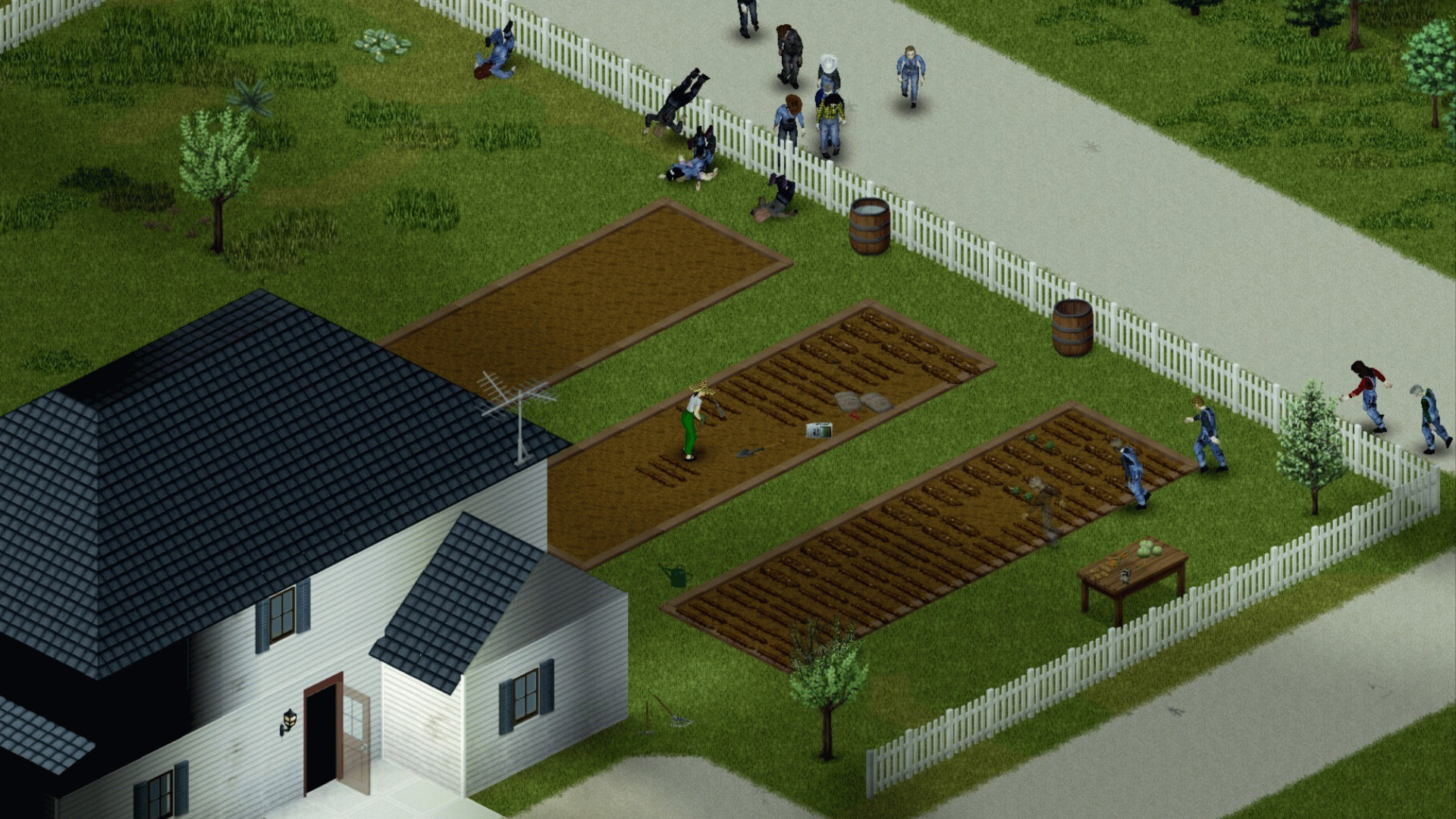 Project Zomboid 42.10 — зомби перелезают через белые штакетные заборчики.
