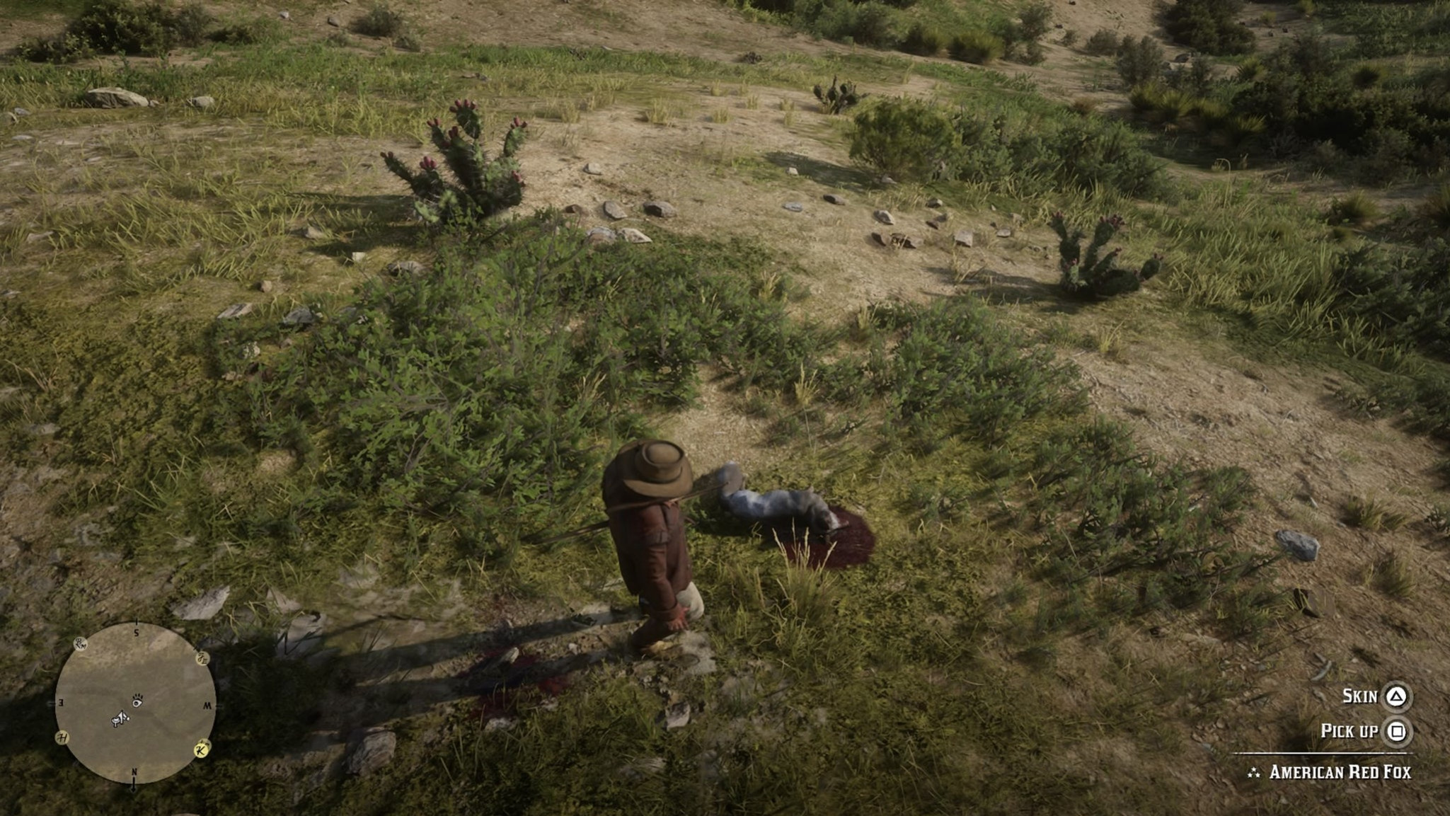 Персонаж Red Dead Redemption 2 стоит рядом с убитым животным, на которое он охотился.