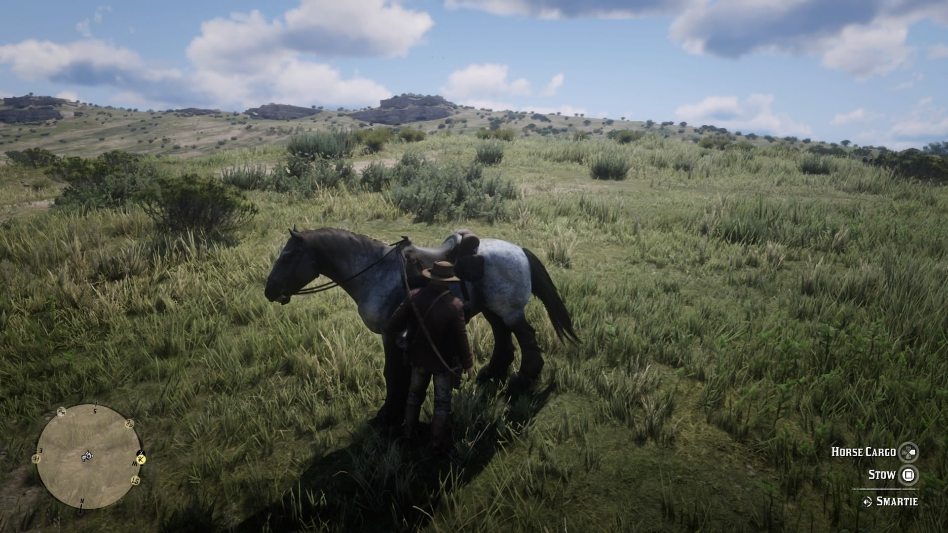 Персонаж игрока в Red Dead Redemption 2 подходит к своей лошади, чтобы убрать шкуру.