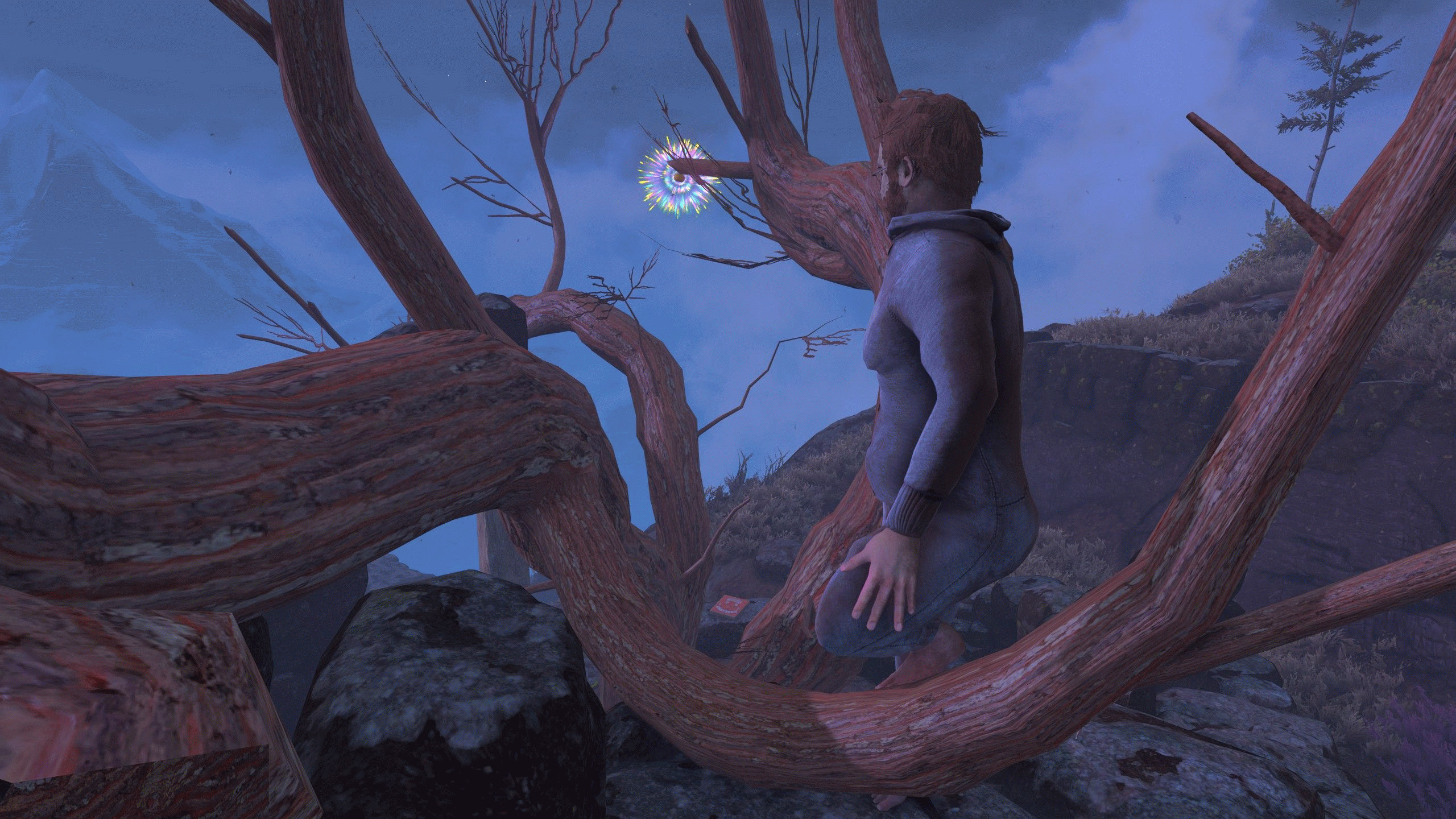 Предмет на ветке дерева маняще светится