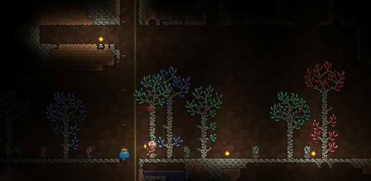 Выращивание самоцветных жёлудей в Terraria