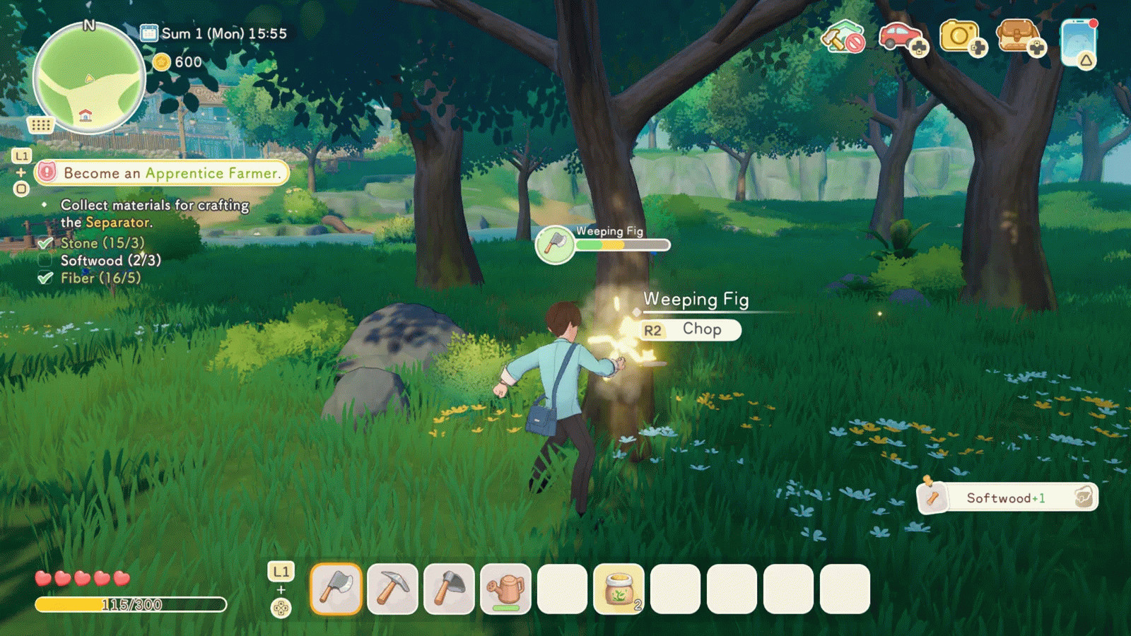 Бои и подземелья в Starsand Island