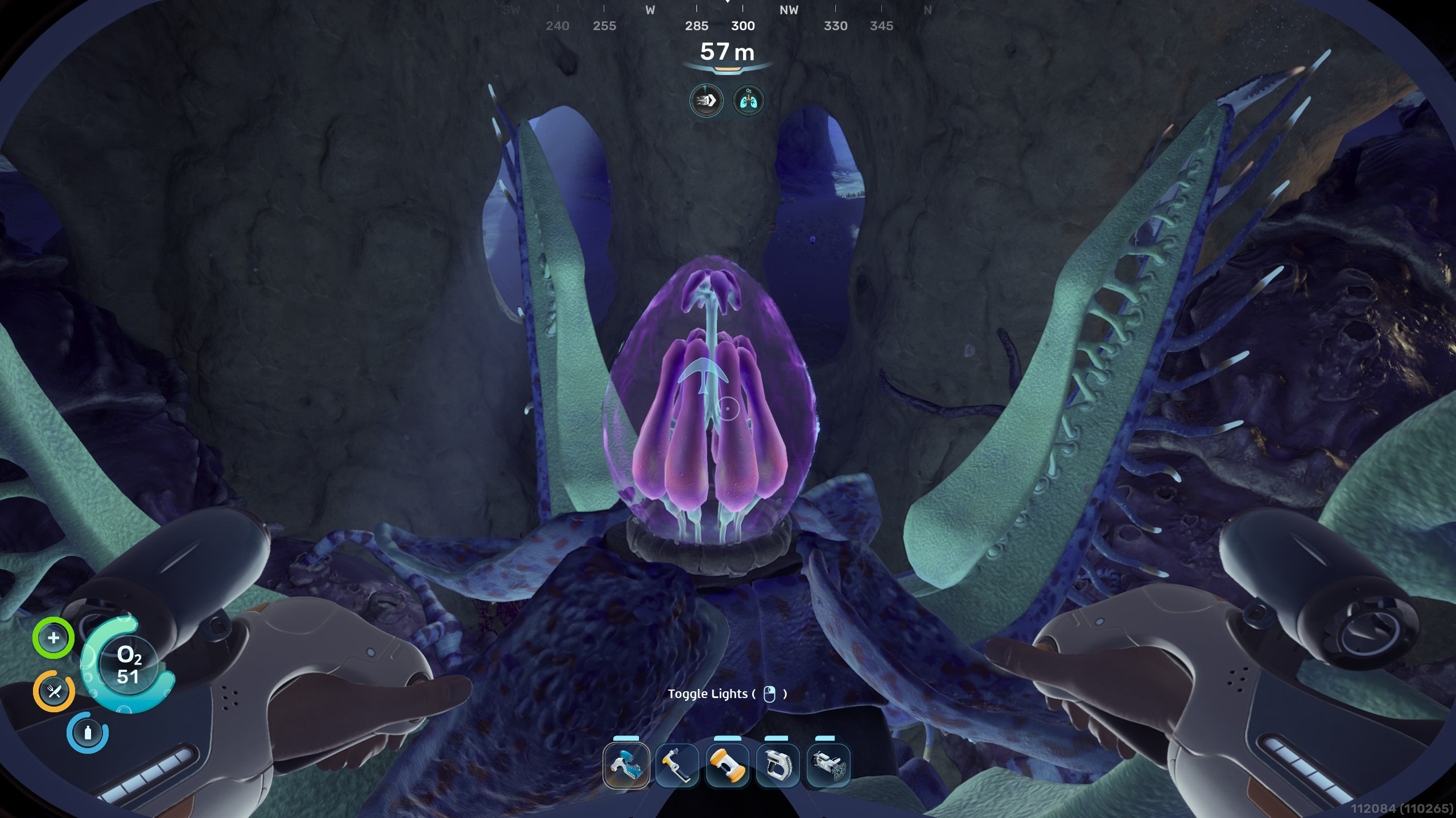 Открытый Гребневик-ангел в Subnautica 2