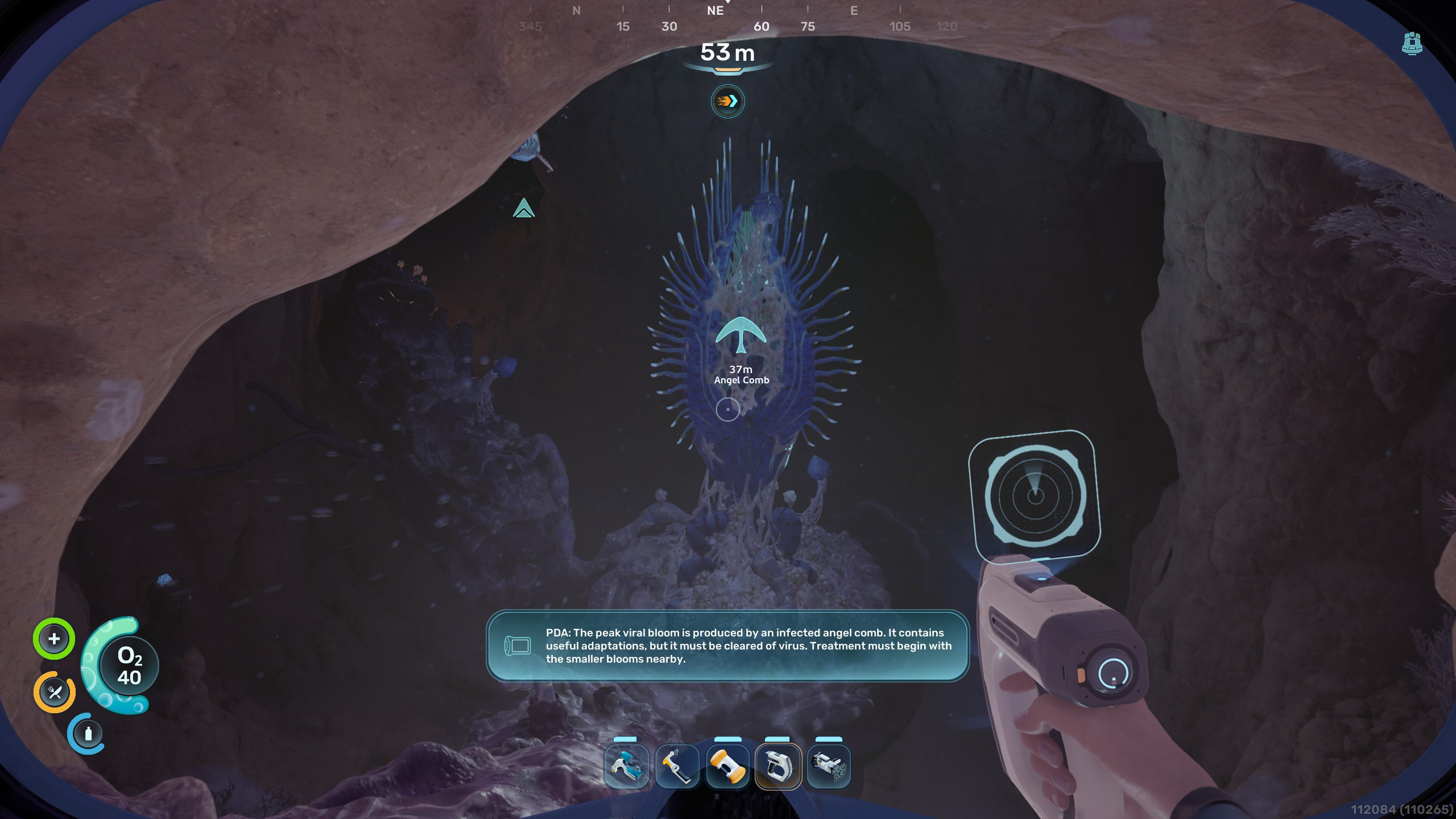 Гребневик-ангел в Subnautica 2 внутри камеры