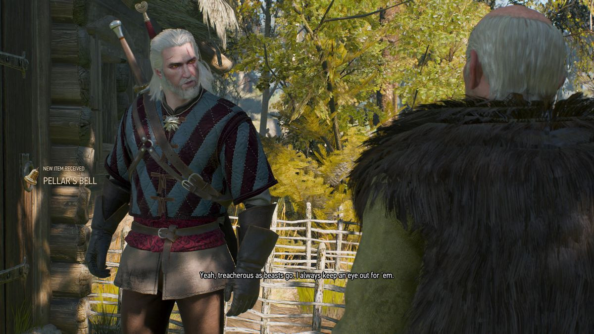 The Witcher 3: Ворожей