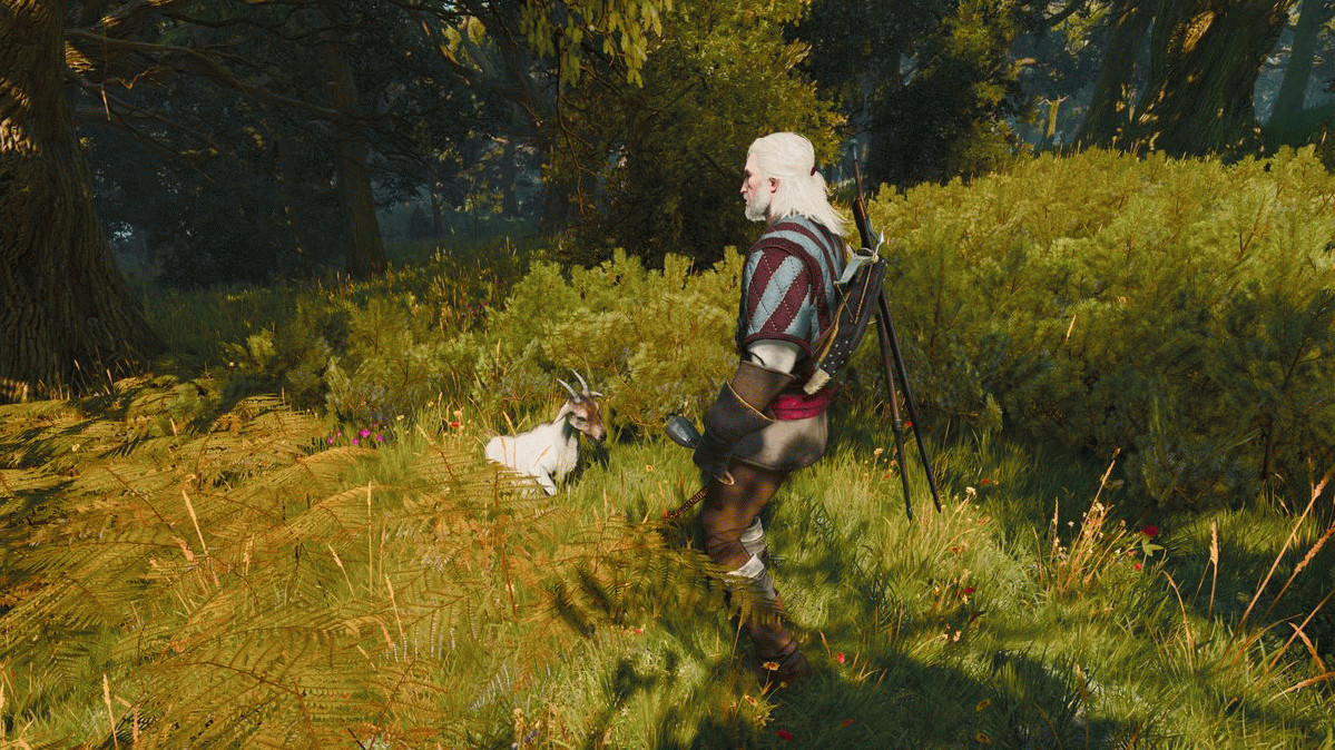 The Witcher 3: Ворожей