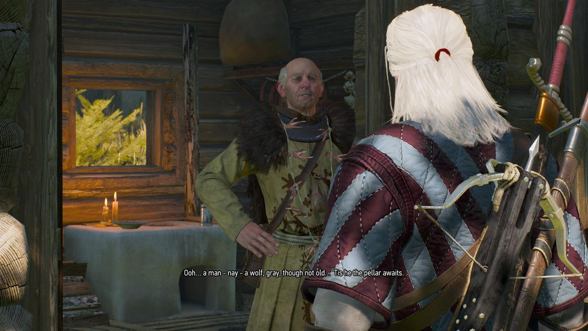 The Witcher 3: Ворожей