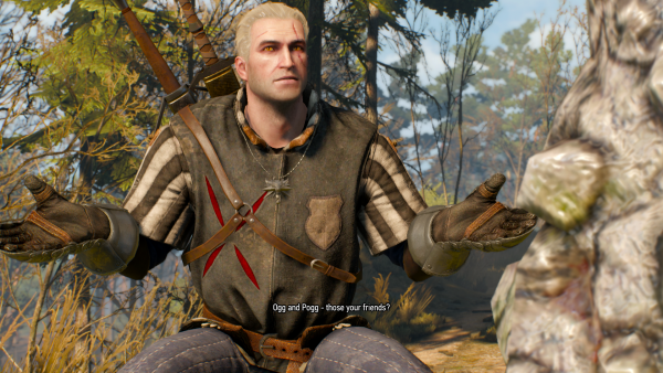 Ещё один скриншот из The Witcher 3