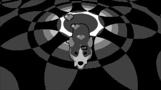 Чёрно-белая собака, которая обожает, когда её гладят