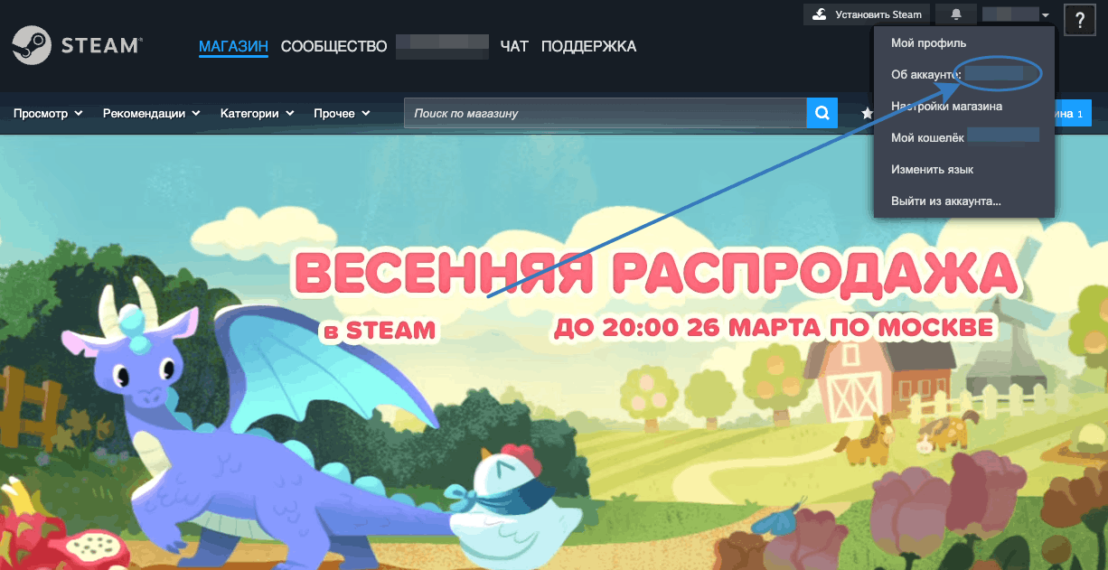 Раздел «Об аккаунте» в браузерной версии Steam
