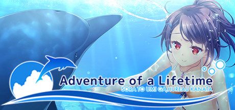 Игра Adventure of a Lifetime