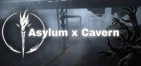 Купить игру Asylum x Cavern
