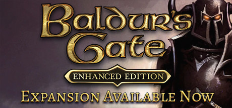 Игра Baldur's Gate: Enhanced Edition