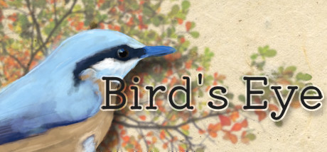 Игра Bird's Eye