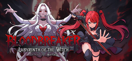 Купить игру Bloodbreaker: Labyrinth of the Witch