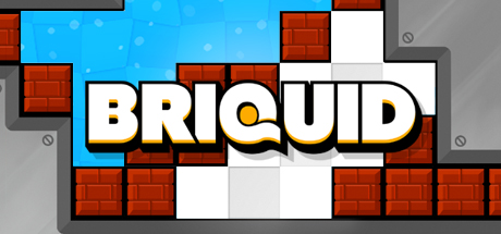 Игра Briquid