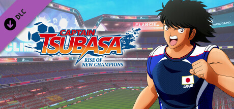 Игра Captain Tsubasa: Rise of New Champions Kojiro Hyuga