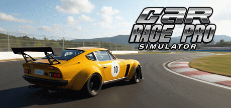 Игра Car Race Pro Simulator