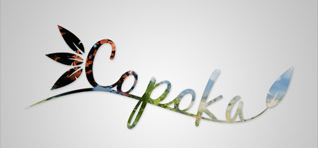 Игра Copoka