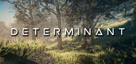 Купить игру Determinant