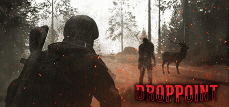 Купить игру Drop Point
