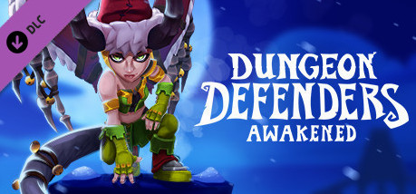 Игра Dungeon Defenders: Awakened - Winter Defenderland