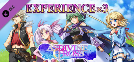 Игра Experience x3 - Asdivine Cross