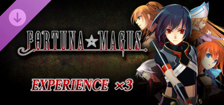 Купить игру Experience x3 - Fortuna Magus