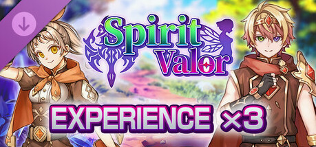 Игра Experience x3 - Spirit Valor