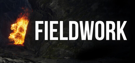 Купить игру Fieldwork
