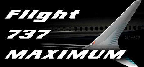 Игра Flight 737 - MAXIMUM