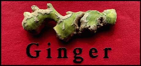 Купить игру Ginger