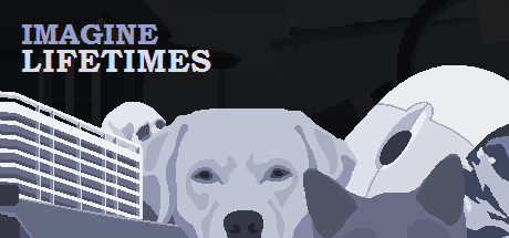 Игра Imagine Lifetimes