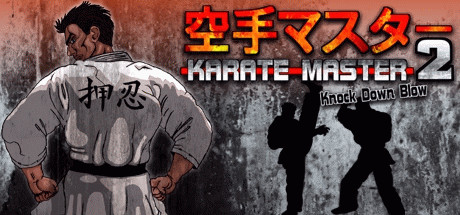 Игра Karate Master 2 Knock Down Blow