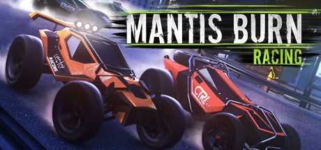 Игра Mantis Burn Racing