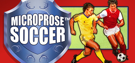 Игра MicroProse Soccer