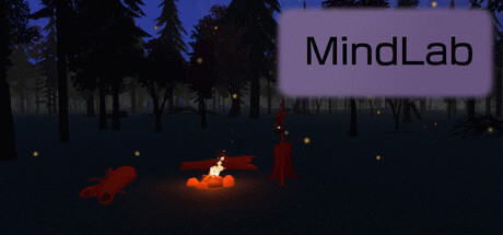 Купить игру MindLab