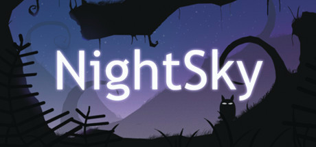 Купить игру NightSky