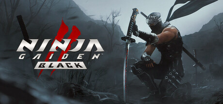 Игра NINJA GAIDEN 2 Black