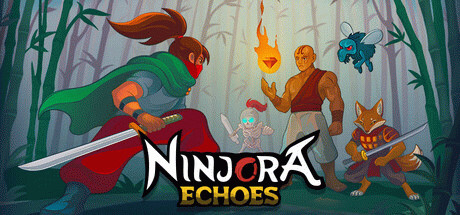 Игра Ninjora Echoes