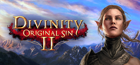Игра Divinity: Original Sin 2 - Divine Edition