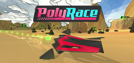 Купить игру PolyRace