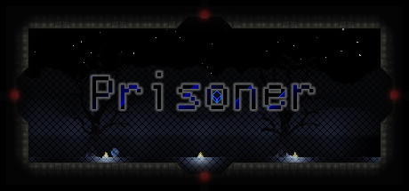 Купить игру Prisoner