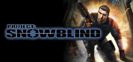 Игра Project: Snowblind
